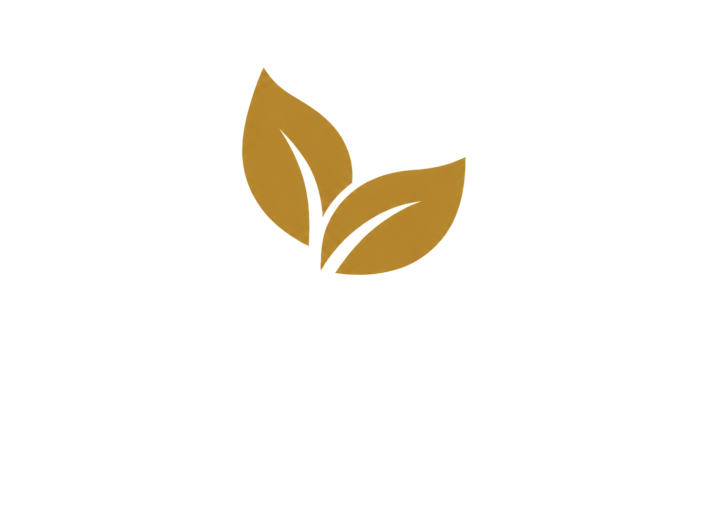 Start Multiservice Ltd logo
